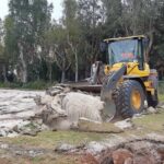 Limpieza de Terrenos Despeja tu terreno con maquinaria pesada